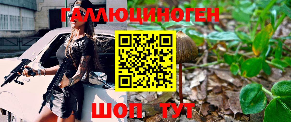 Галлюциногенные грибы Cubensis  Вход с VPN  купить  цена  Псилоцибиновые грибы MAGIC MUSHROOMS  Вышний Волочёк 